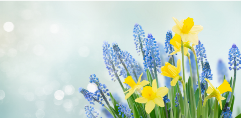 Read more about the article Spring Forward With the Resmed Airmini Portable CPAP Machine
