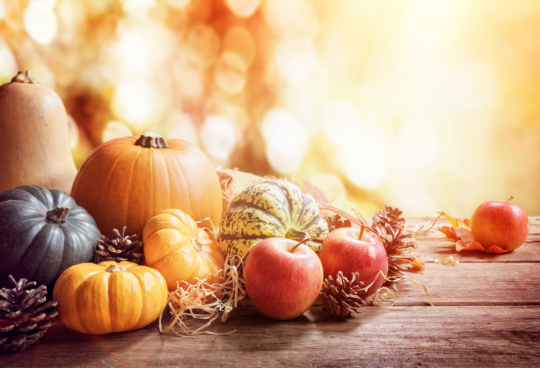Read more about the article Giving Thanks This Season