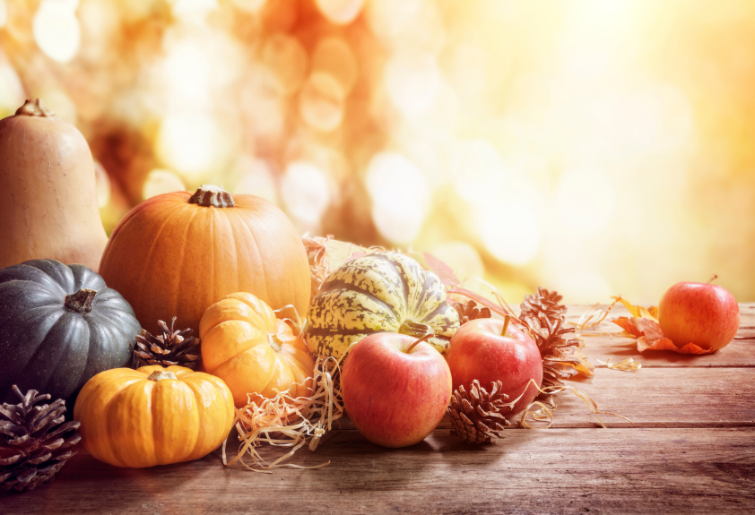 Read more about the article Giving Thanks This Season