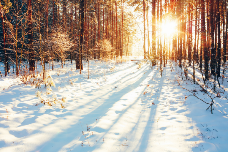 Read more about the article Winterizing your CPAP
